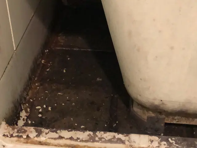 [お風呂掃除は大変]定期的にプロに任せて「キレイ」をリセットしませんか！損保加入サービスの画像