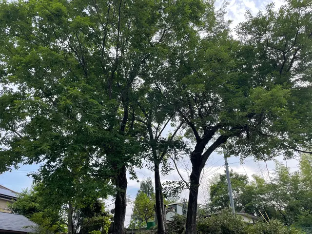 寄り添う心を第一に！沢山の職人さんから教わった技術をお客様に提供致します！サービスの画像