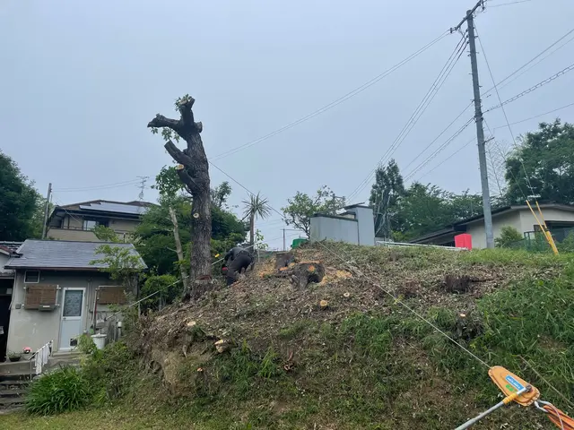 寄り添う心を第一に！沢山の職人さんから教わった技術をお客様に提供致します！サービスの画像