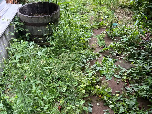 草むしり【手作業】サービスの画像