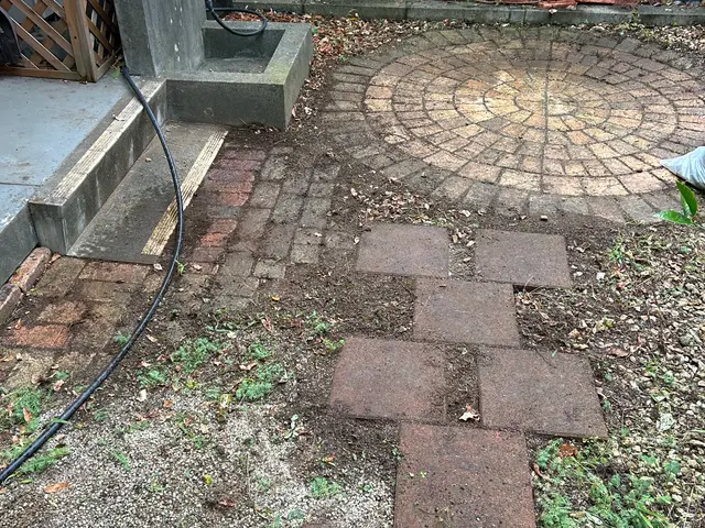 草むしり【手作業】サービスの画像