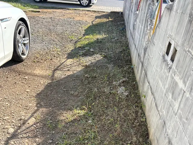 草むしり【手作業】サービスの画像