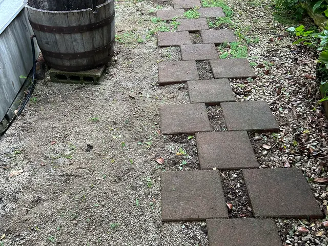 草むしり【手作業】サービスの画像