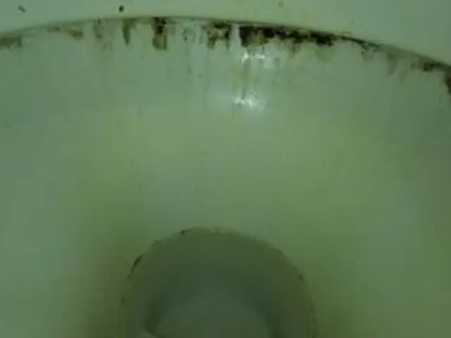 《損害保険加入済で安心♪》作業外注なし◎すべて当店で責任持って対応します！！サービスの画像