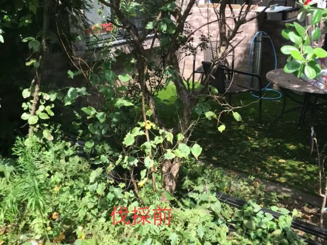 《営業時間外もご相談OK》ご要望に寄り添い、理想のお庭づくりをお手伝いいたしますサービスの画像