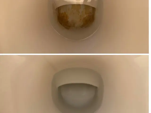 【トイレ清掃】お部屋の汚れ一掃します☆報告連絡相談徹底します！【損害保険加入済】サービスの画像