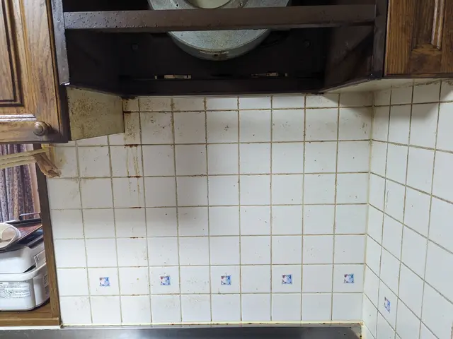 ギトギト油もスッキリきれい☆換気効率UP！内部まで徹底洗浄！！損害保険加入済サービスの画像