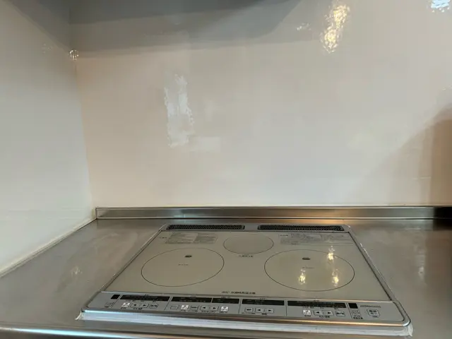 毎日使うからこそ！早めの大掃除を。女性スタッフの丁寧レンジフードクリーニングサービスの画像