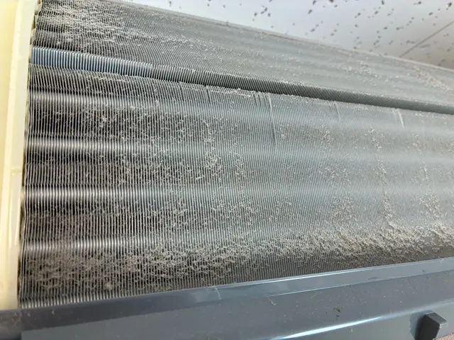 冬こそ本番！暖房の空気と一緒にカビや汚れも！！防カビお値引き中〜サービスの画像