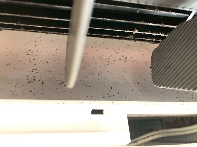 防カビ3,000円→1,000円！エアコンに潜むカビもホコリも年内に大掃除！サービスの画像