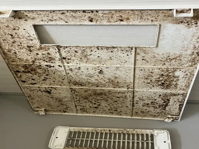 【国家資格取得】クレカ払い可・ご不満があれば無償再サービス【業界歴20年】サービスの画像