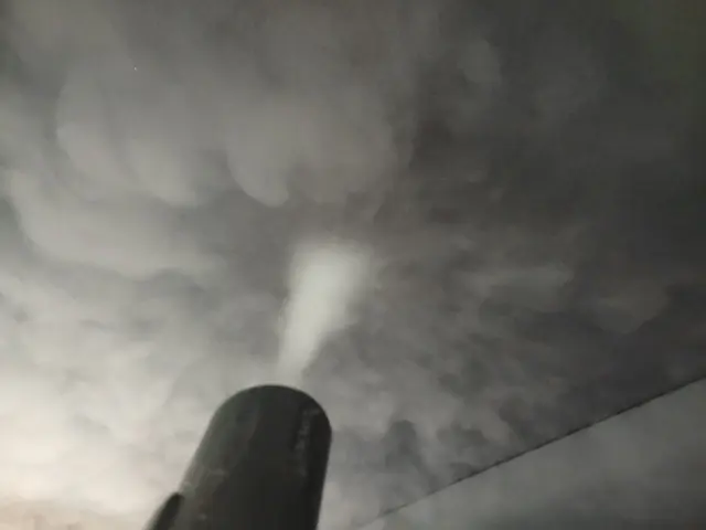 お部屋で嘔吐された。糞尿された。臭い汚れのトラブル保険で綺麗に丸洗いできるかも?サービスの画像