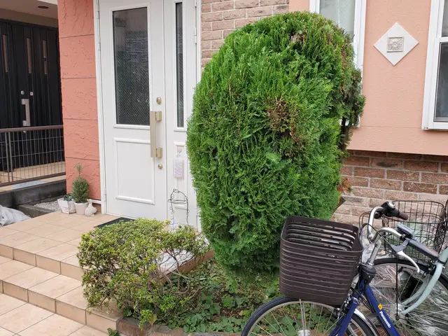 お見積り無料　お庭の木の剪定ならお任せくださいサービスの画像