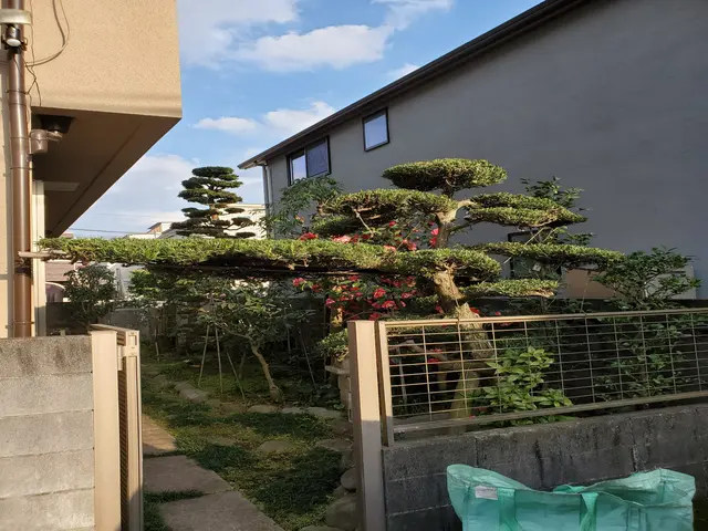 お見積り無料　お庭の木の剪定ならお任せくださいサービスの画像