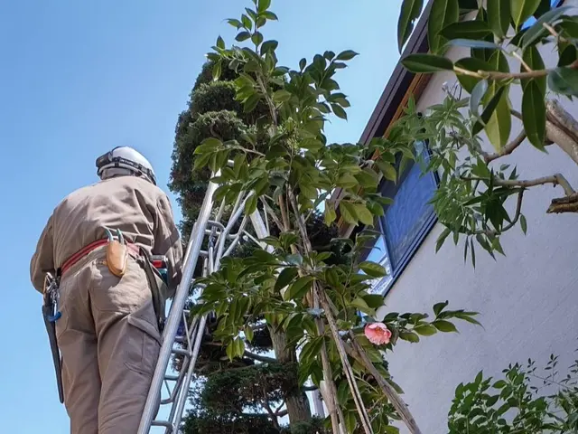 お見積り無料　お庭の木の剪定ならお任せくださいサービスの画像