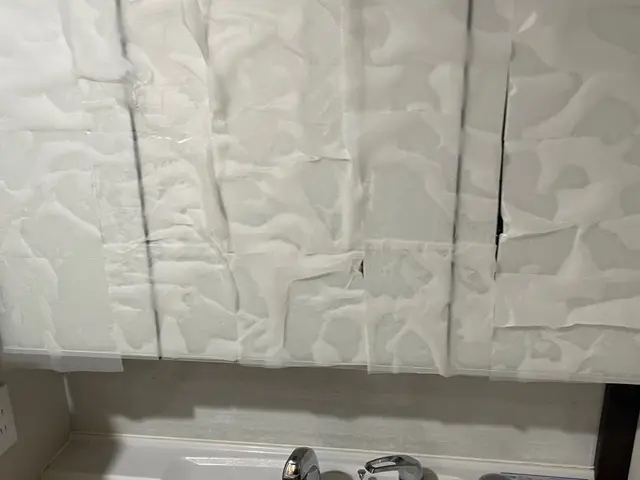 【プロの技術と経験でピカピカをお約束致します！】洗面所クリーニングサービスの画像