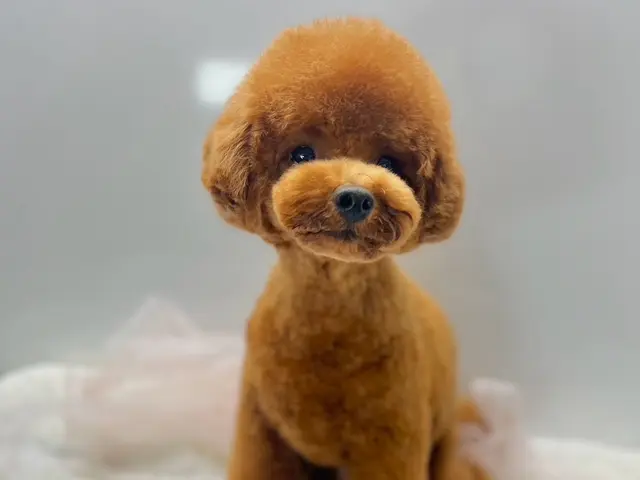 【深夜対応可！】トリミングカー車内で施術。営業時間12時～24時！年齢制限なし◎サービスの画像