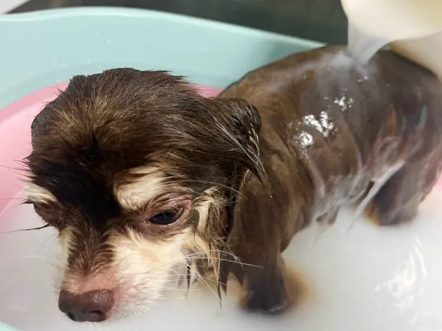 【深夜対応可！】トリミングカー車内で施術。営業時間12時～24時！年齢制限なし◎サービスの画像