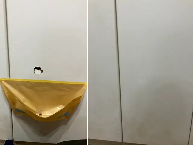 安心と信頼の匠の技でドア・壁の穴が無かったことに！即日対応＆追加対応無料！サービスの画像