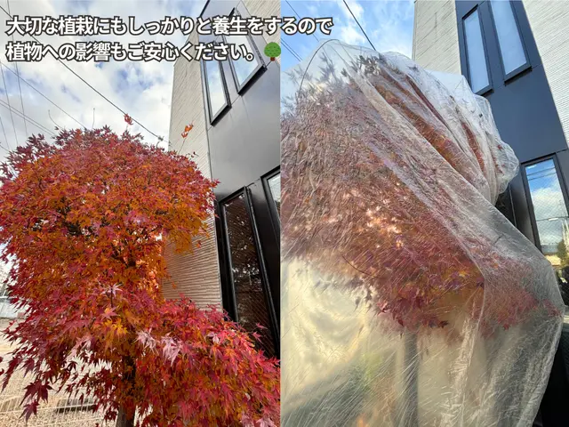 外壁を傷めないコスパ最強の手洗い洗浄 ★50%OFFキャンペーン開催中★サービスの画像