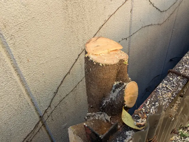 庭木の伐採・抜根で景観をキレイに！お庭のお困りごとは何でもご相談ください(^^)サービスの画像