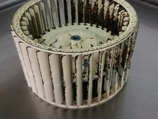 安心の油汚れ専用洗剤を使用しています。追加料金はありません。顔写真は少し古いですサービスの画像