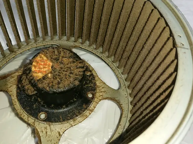 安心の油汚れ専用洗剤を使用しています。追加料金はありません。顔写真は少し古いですサービスの画像