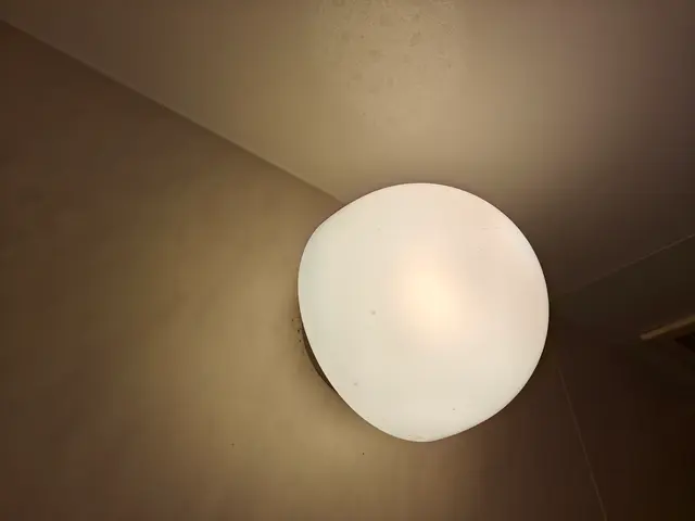 浴室照明器具交換致します。写真の者が、伺います。サービスの画像