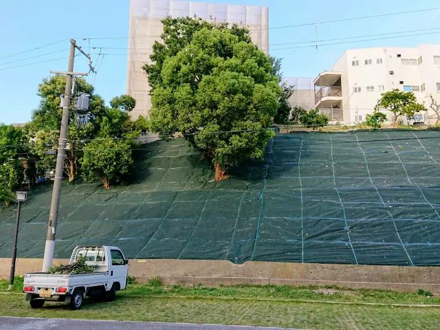 ＜１級造園技能士＞損害保険加入済み！対応地域外もご相談可能！女性スタッフ同行可◎サービスの画像