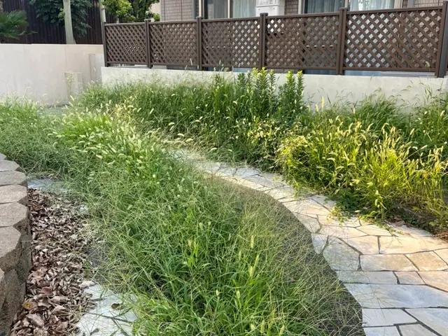 【業歴20年以上の実績】草丈、草の種類、現場の状況により料金変わる場合あります。サービスの画像