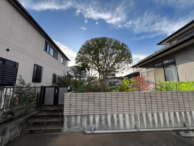 安心実績！安全とスピードを兼ね備えた庭木伐採・抜根サービスサービスの画像