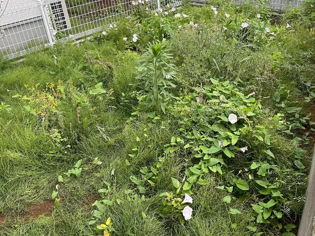 【草むしり】100%自社対応◎営業時間外・対応地域外もご相談ください。サービスの画像