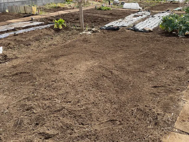 【草むしり】100%自社対応◎営業時間外・対応地域外もご相談ください。サービスの画像