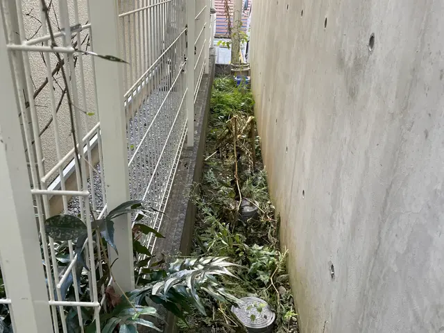 【草むしり】100%自社対応◎営業時間外・対応地域外もご相談ください。サービスの画像