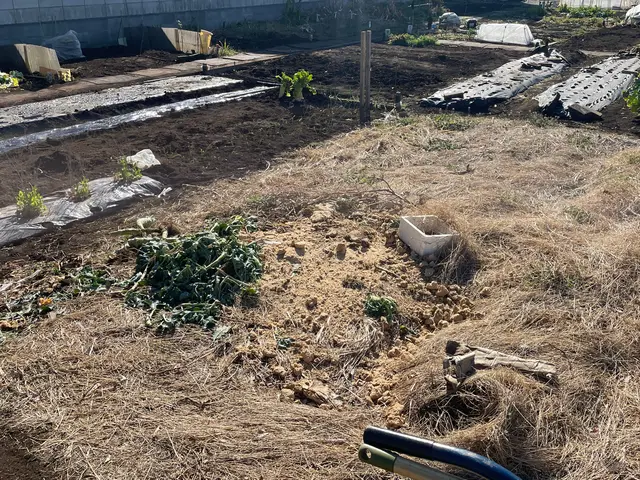 【草むしり】100%自社対応◎営業時間外・対応地域外もご相談ください。サービスの画像