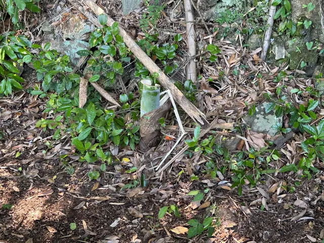 高知空港などで草刈りを行っておりました経験から草刈り機でお庭など綺麗にします。サービスの画像