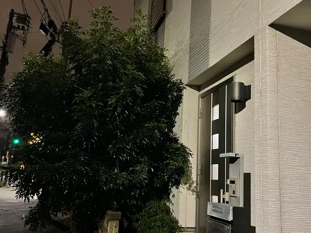 プロの庭木伐採・抜根サービス｜安全・迅速・丁寧に対応しますサービスの画像