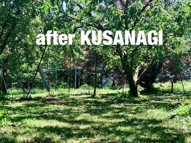 南アルプス市発　草刈り代行サービスKUSANAGI　草刈りは当サービスにて！サービスの画像