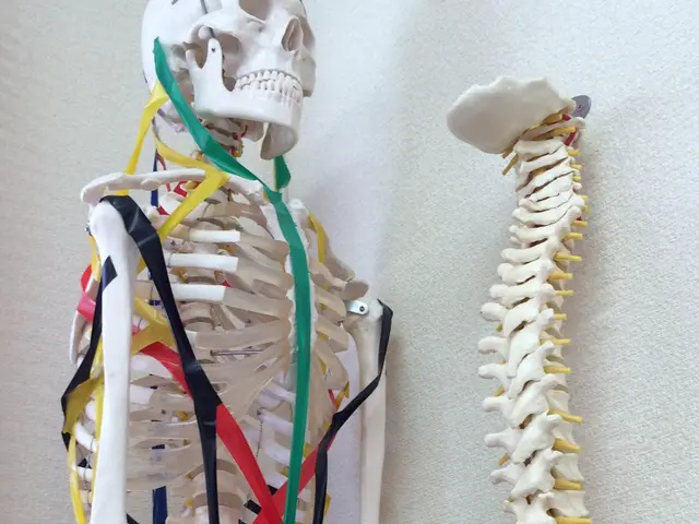 辛いコリや痛みにピンポイント！国家資格者による「トリガーポイント出張整体」サービスの画像