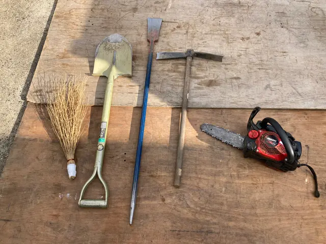 業歴19年以上★少量からでも大歓迎★緑や庭のことならお任せ下さい★一級造園技能士サービスの画像