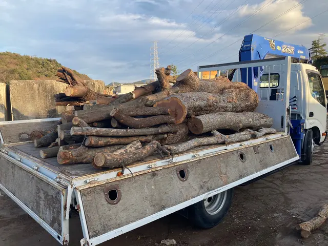 業歴19年以上★少量からでも大歓迎★緑や庭のことならお任せ下さい★一級造園技能士サービスの画像