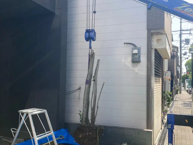 業歴19年以上★少量からでも大歓迎★緑や庭のことならお任せ下さい★一級造園技能士サービスの画像