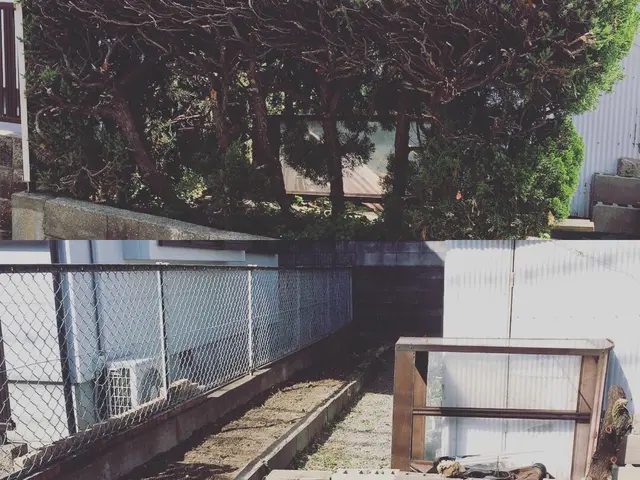 業歴19年以上★少量からでも大歓迎★緑や庭のことならお任せ下さい★一級造園技能士サービスの画像