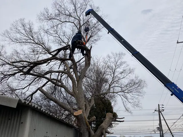 業歴19年以上★少量からでも大歓迎★緑や庭のことならお任せ下さい★一級造園技能士サービスの画像