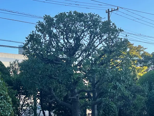 ［地域密着で営業中］50年を超える知識と経験でお客様のご要望にお応え致します！サービスの画像