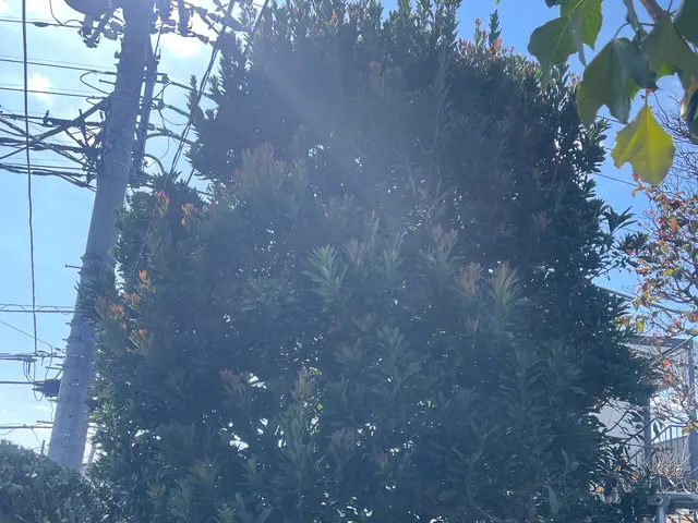 ［地域密着で営業中］50年を超える知識と経験でお客様のご要望にお応え致します！サービスの画像