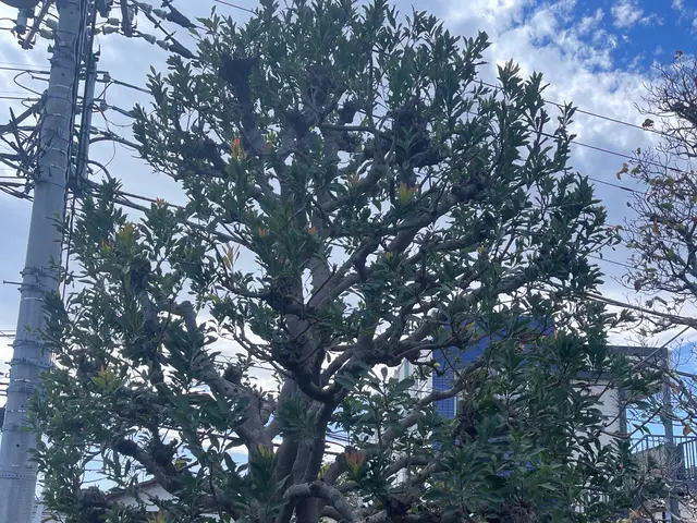 ［地域密着で営業中］50年を超える知識と経験でお客様のご要望にお応え致します！サービスの画像