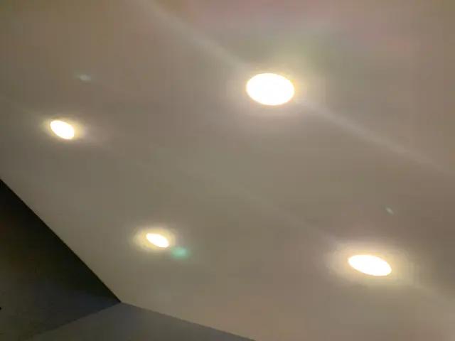 照明・シーリングファン・ダウンライト取付などお任せください♢サービスの画像