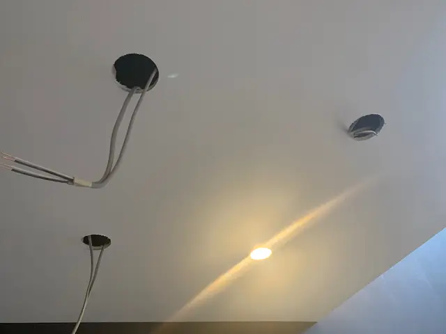 照明・シーリングファン・ダウンライト取付などお任せください♢サービスの画像