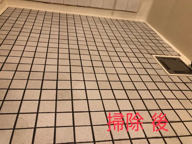 ★大手出身のクリーニングプロが、作業前後の違いをしっかりとお見せします。サービスの画像